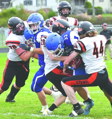 Making an investment: Young Mustangs took lumps last year to get more experience